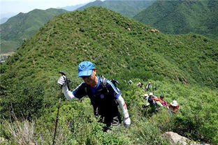脚在路上，杖在手中 户外登山带一根杖，不只是更稳而已