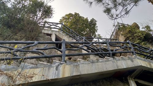白鹿登山健身步道 一场与自然对话的登山之旅